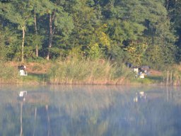 Competities HSV Alfheim