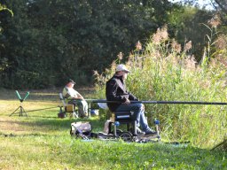 Competities HSV Alfheim