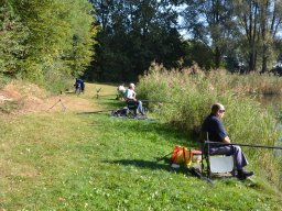 Competities HSV Alfheim