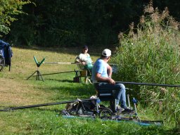 Competities HSV Alfheim