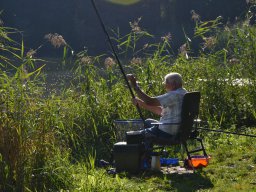 Competities HSV Alfheim