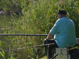 Competities HSV Alfheim