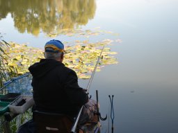 Competities HSV Alfheim