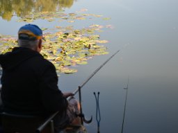 Competities HSV Alfheim