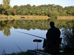 Competities HSV Alfheim