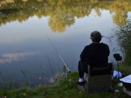 Competities HSV Alfheim