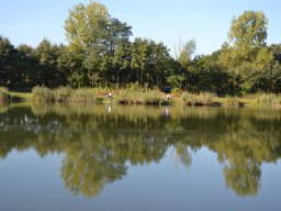 Competities HSV Alfheim