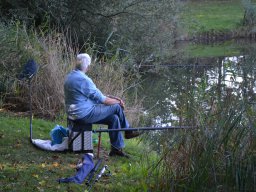 Competities HSV Alfheim