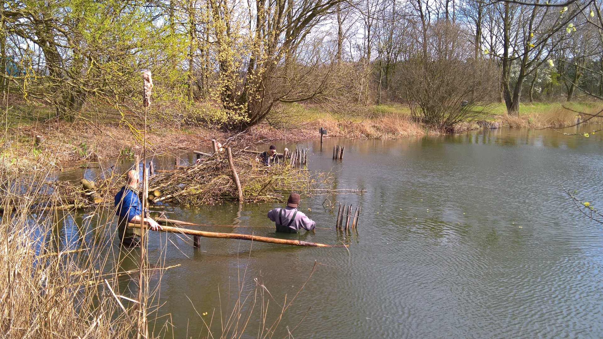 WP 20170325 12 52 19 Rich Groot